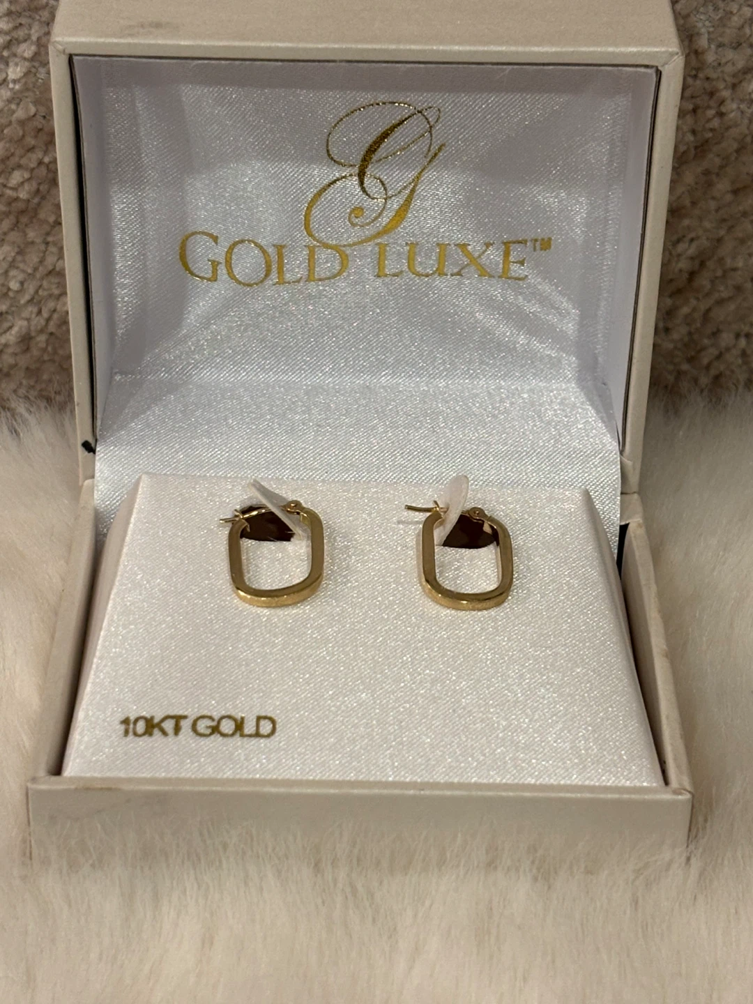 Gold Luxe 10KT Gold Earrings - New in Box!