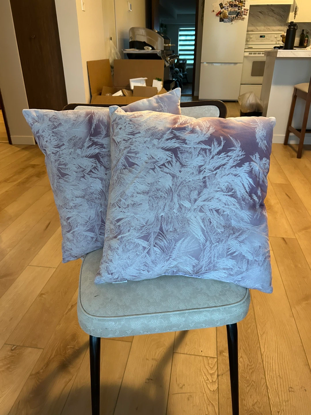 Decorative Throw Pillows - Set of 2