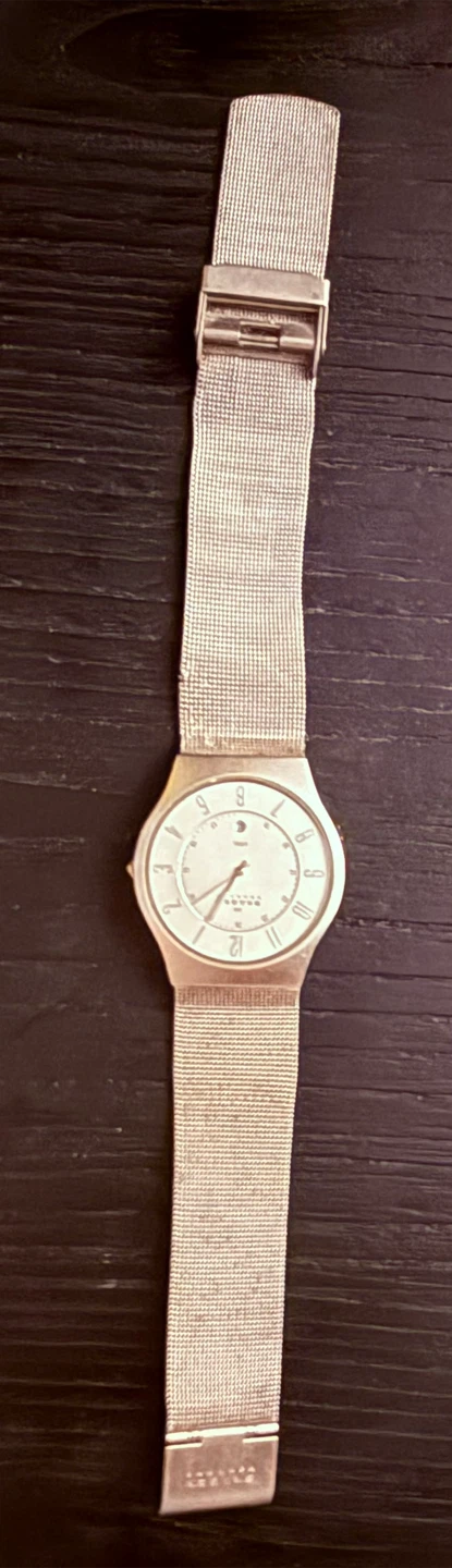 Skagen Steel Mesh Watch - photo 4