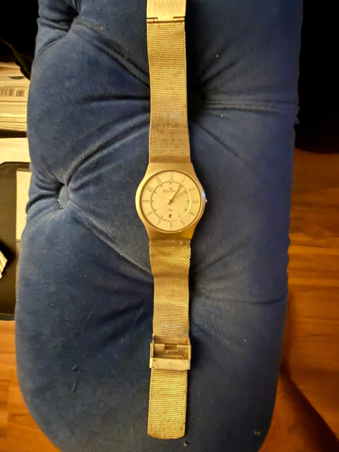 Skagen Steel Mesh Watch