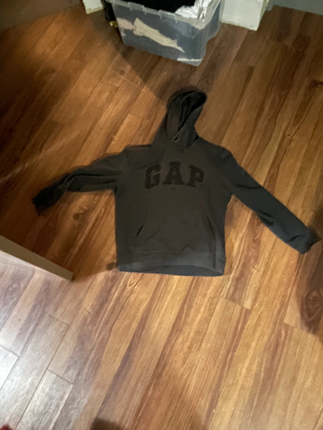 Gap Hoodie