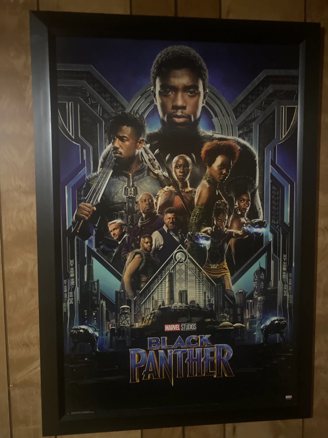 Black Panther Framed Poster