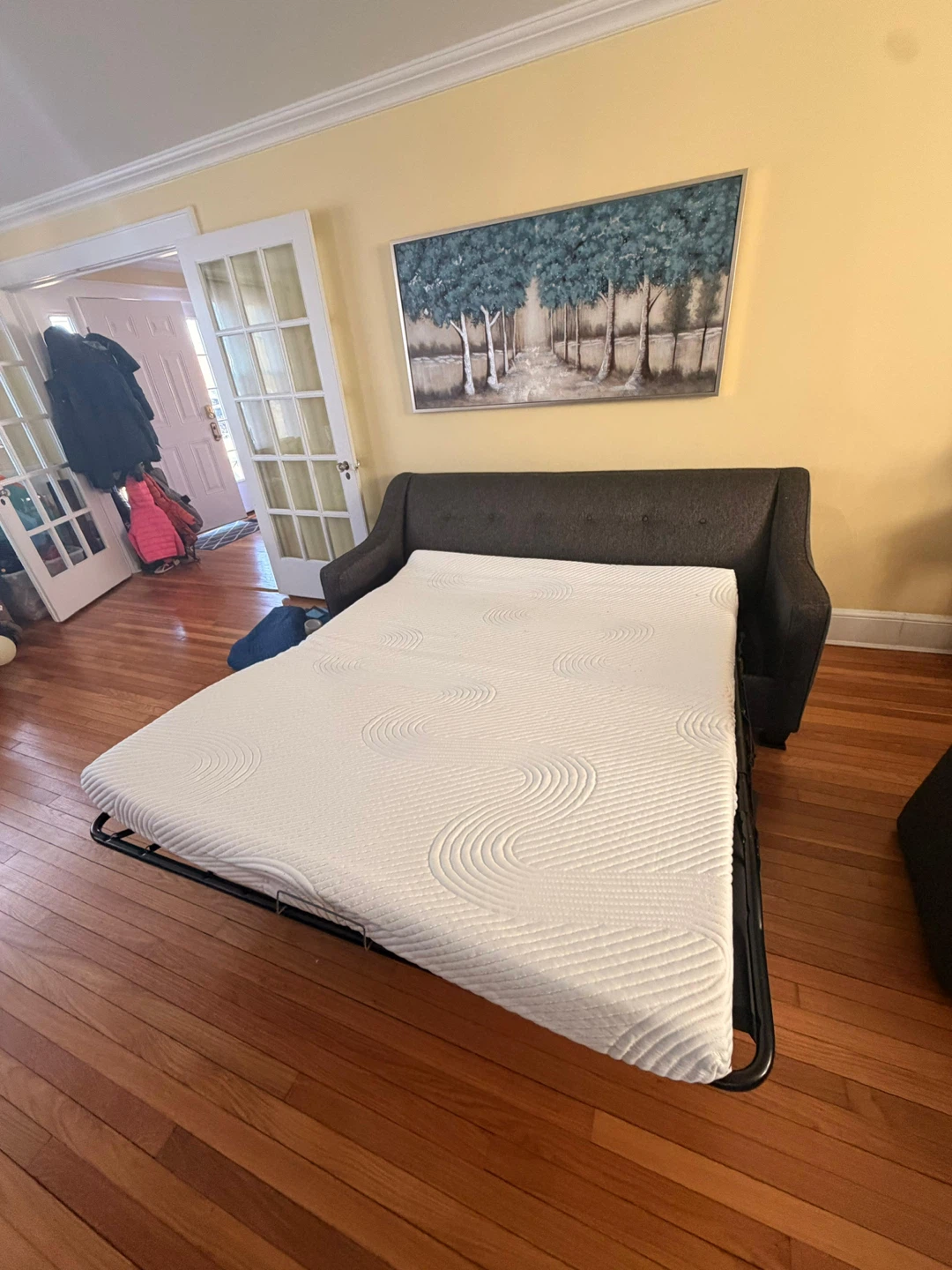 Gray Sofa Bed - Perfect for Guests!