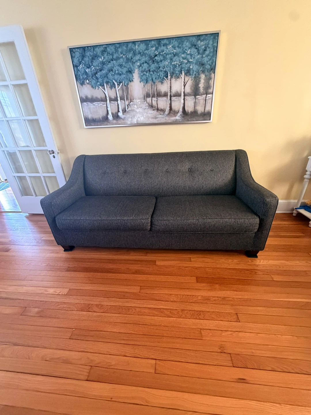 Gray Sofa Bed - Perfect for Guests! - photo 4