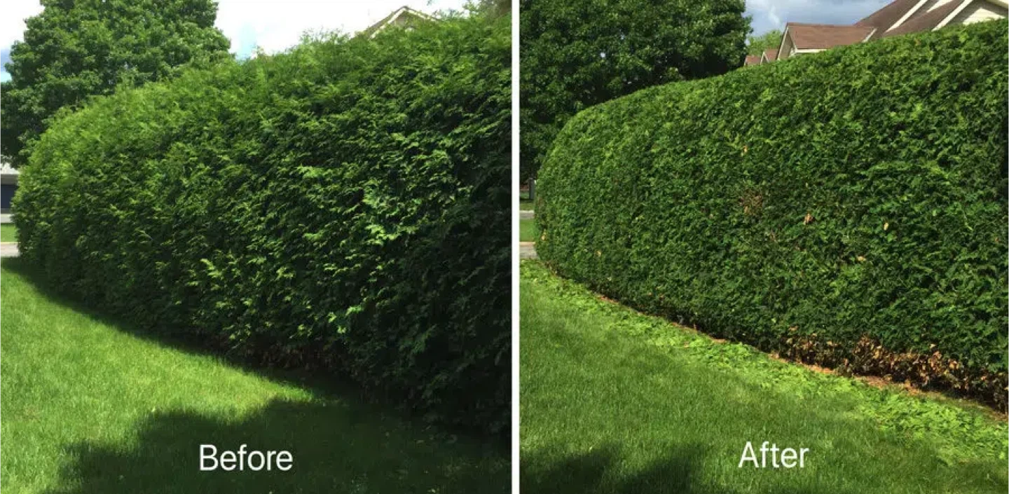 Toro 22-in Corded Electric Hedge Trimmer - photo 4