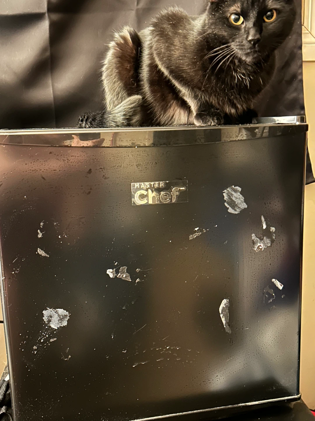 Master Chef Mini Fridge - Black - photo 4
