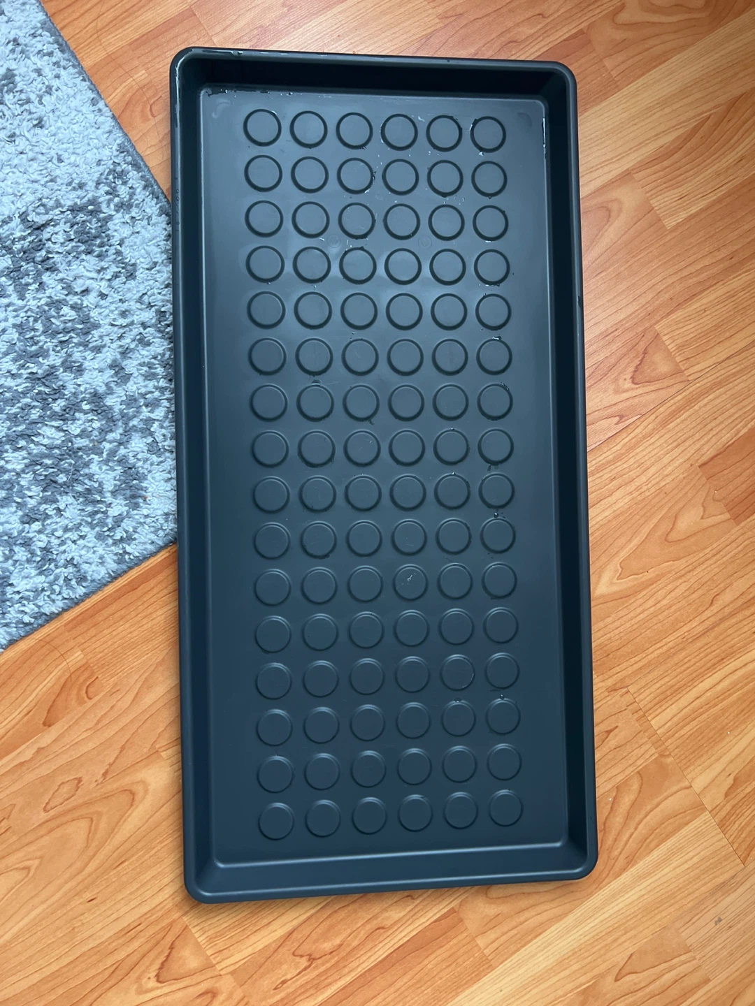 Ikea Baggmuck Shoe Tray - Black