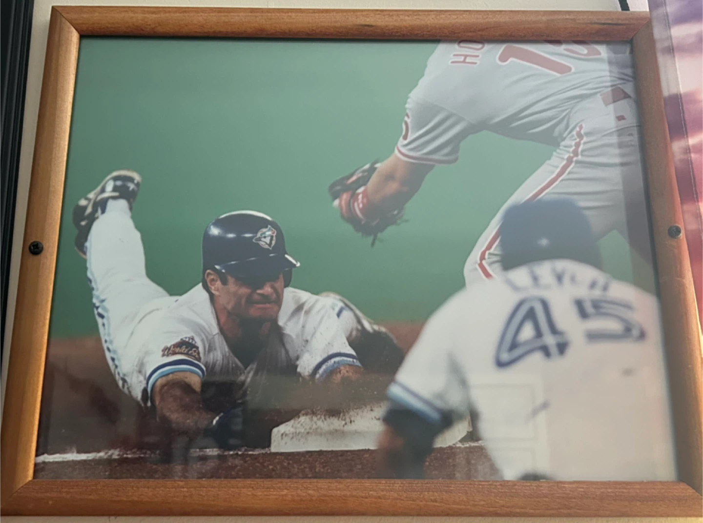 Blue jays