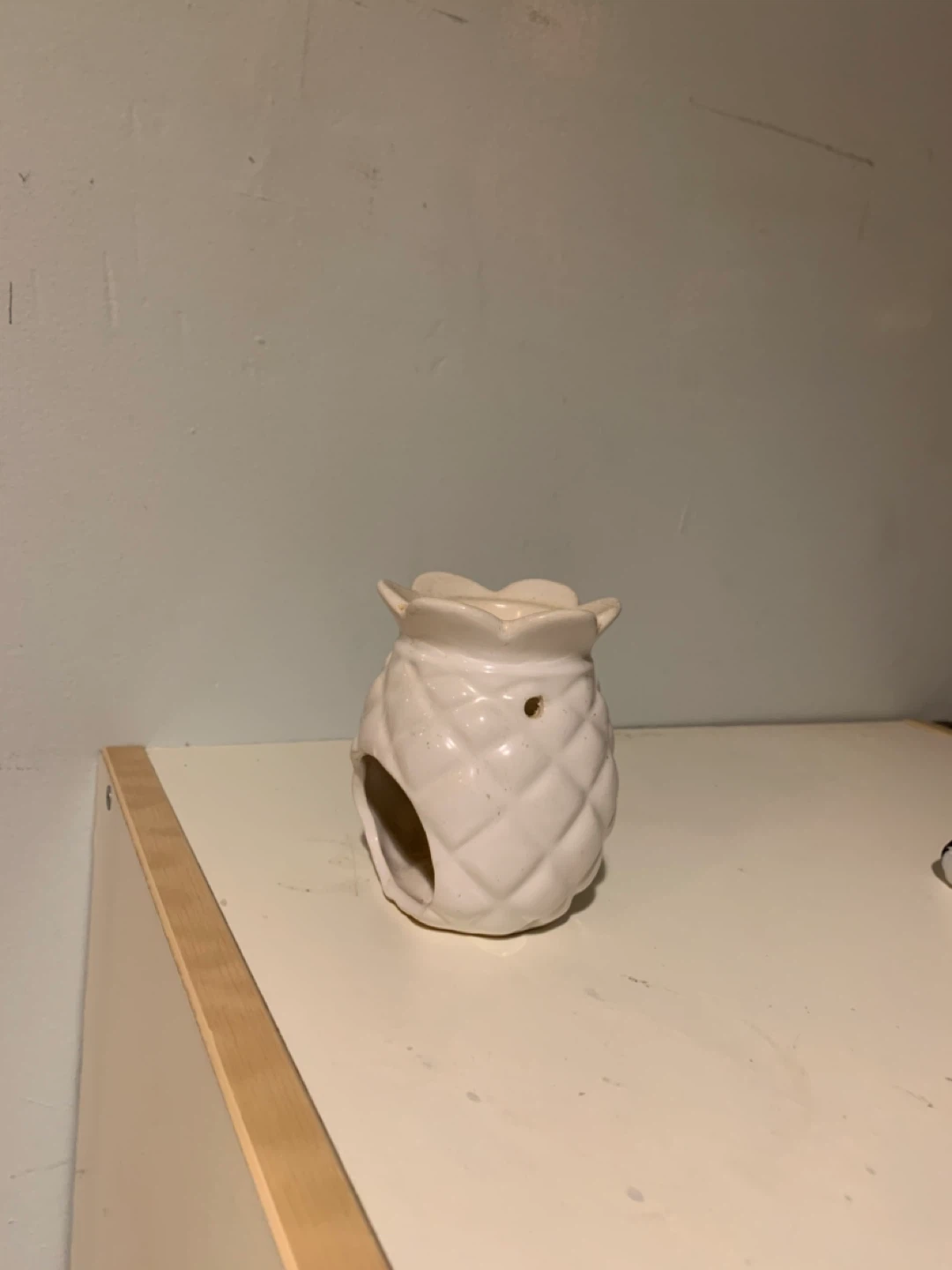 🥕 White Pineapple Ceramic Oil Warmer