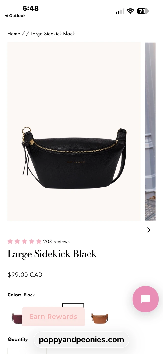 Poppy & Peonies Large Sidekick Black