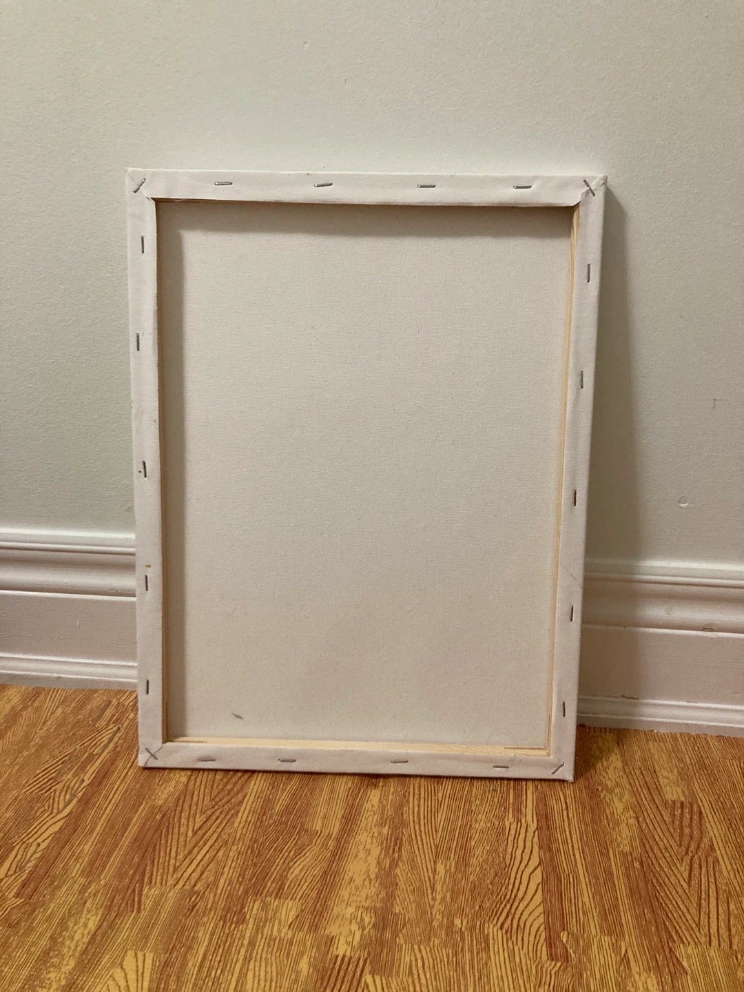 Blank White Canvas - photo 4