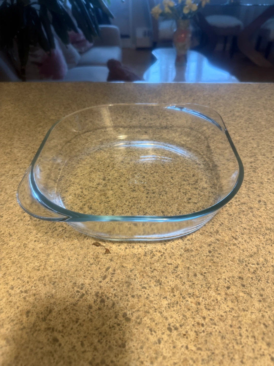 Glass Baking Dish (4 is available)