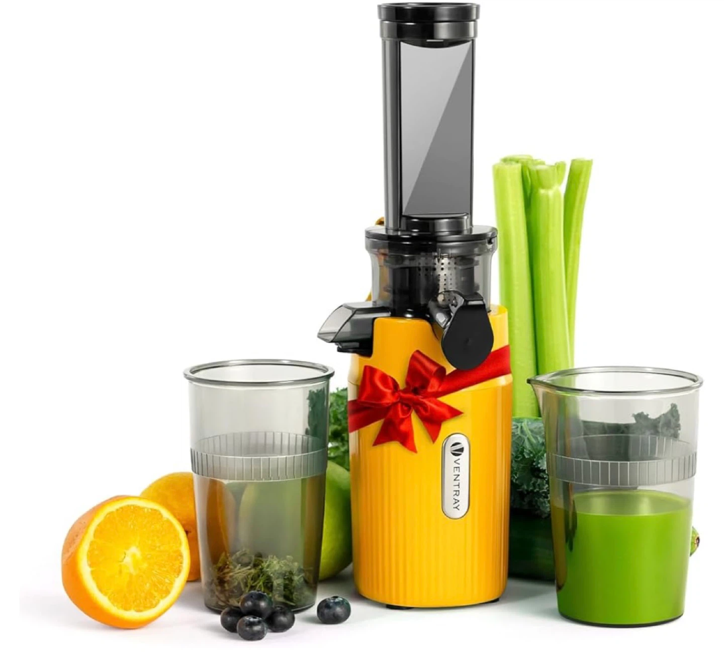 Ventray Masticating Juicer - Compact & Powerful!
