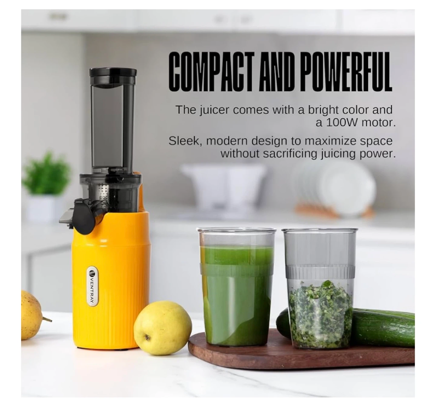 Ventray Masticating Juicer - Compact & Powerful! - photo 5
