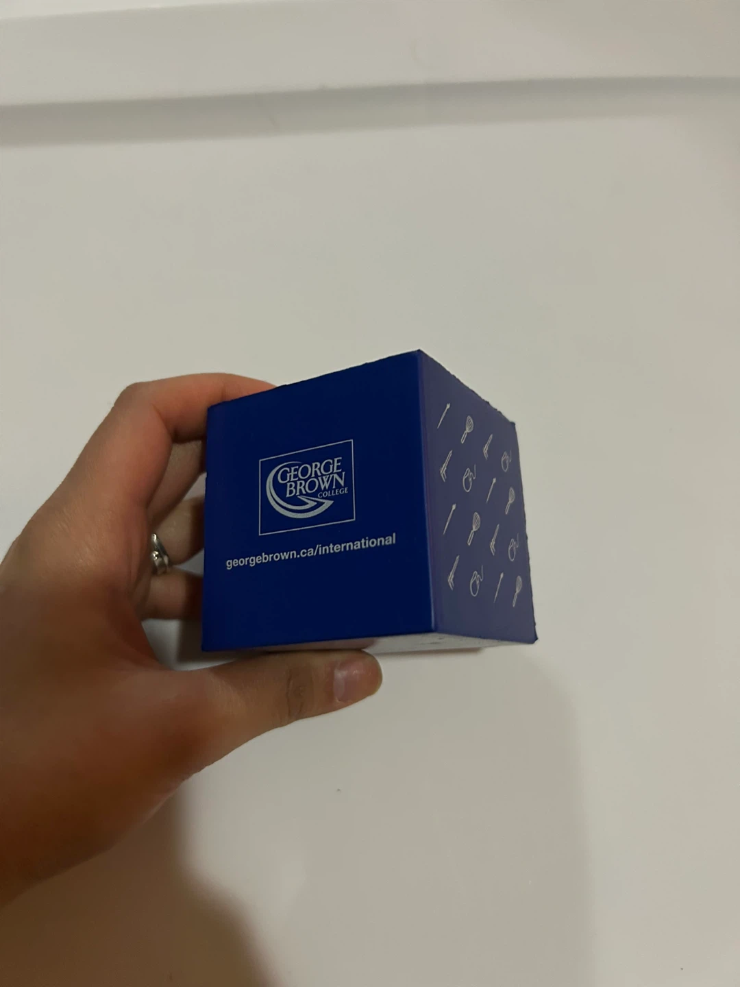 FREE🎁 George Brown College International Stress Cube