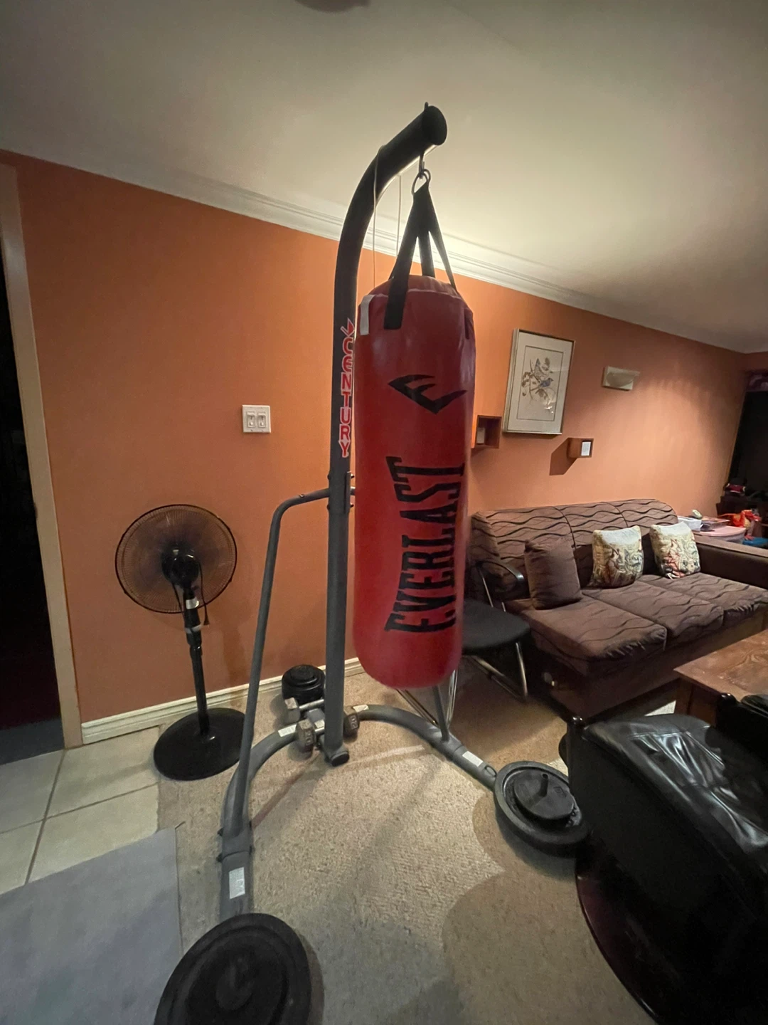 Everlast Punching Bag with Century Stand