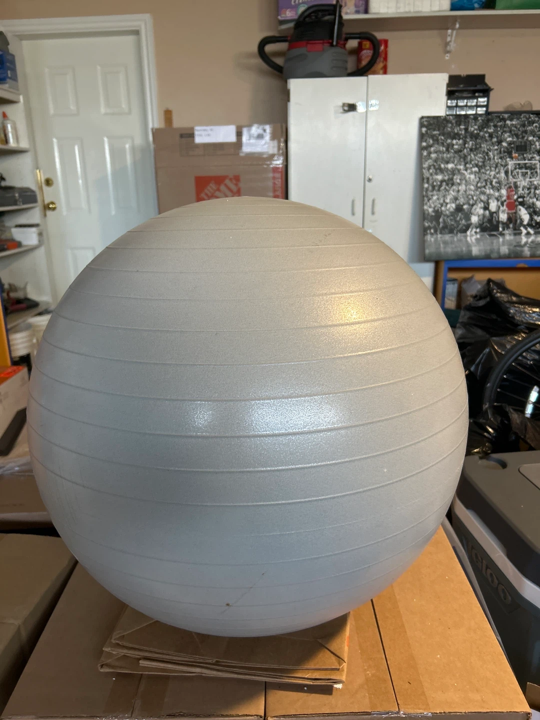 Exercise Ball