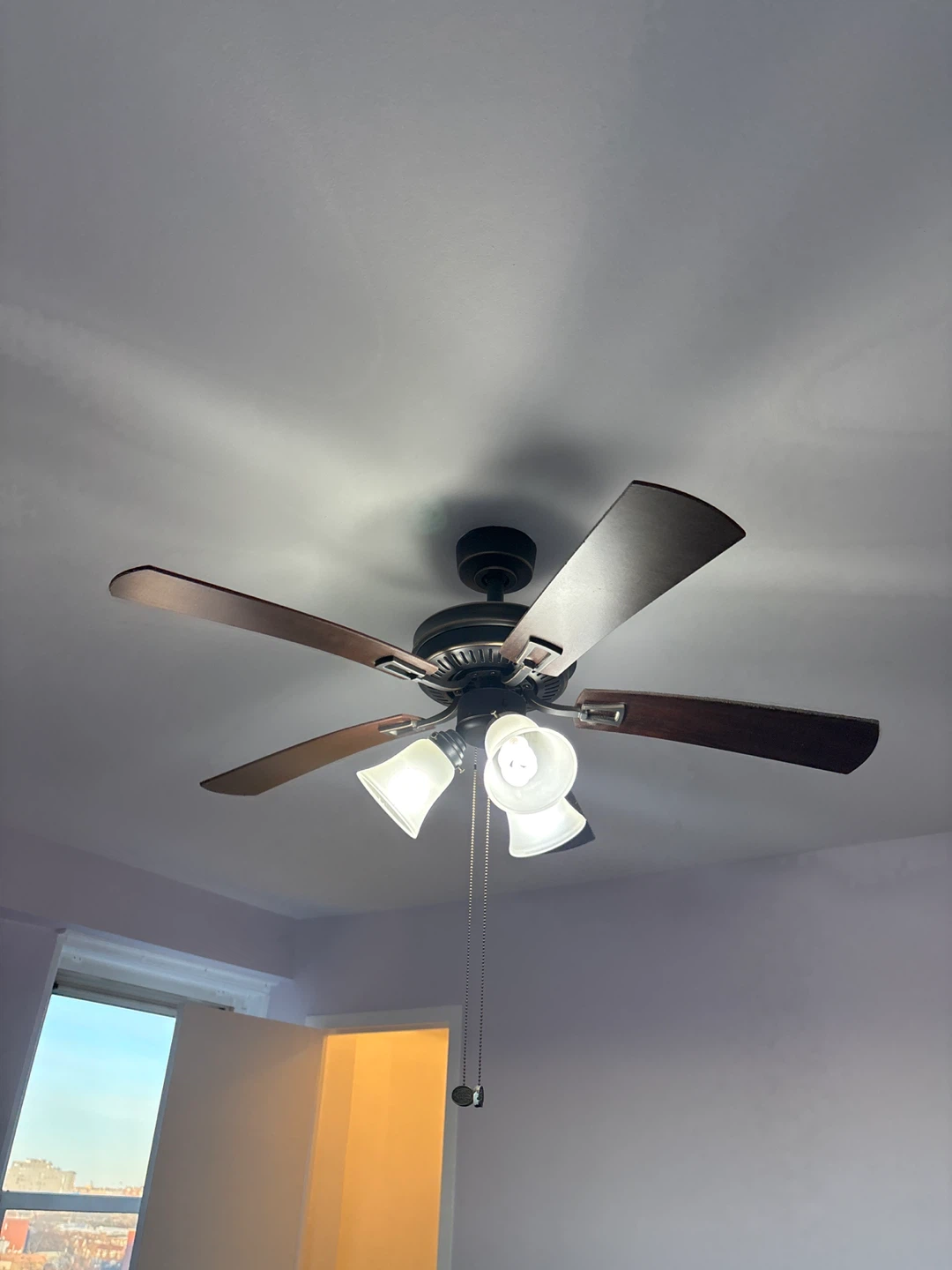 Ceiling Fan with Lights - photo 3