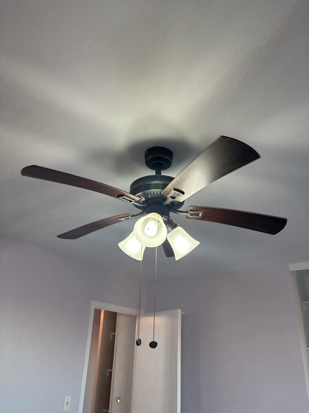 Ceiling Fan with Lights