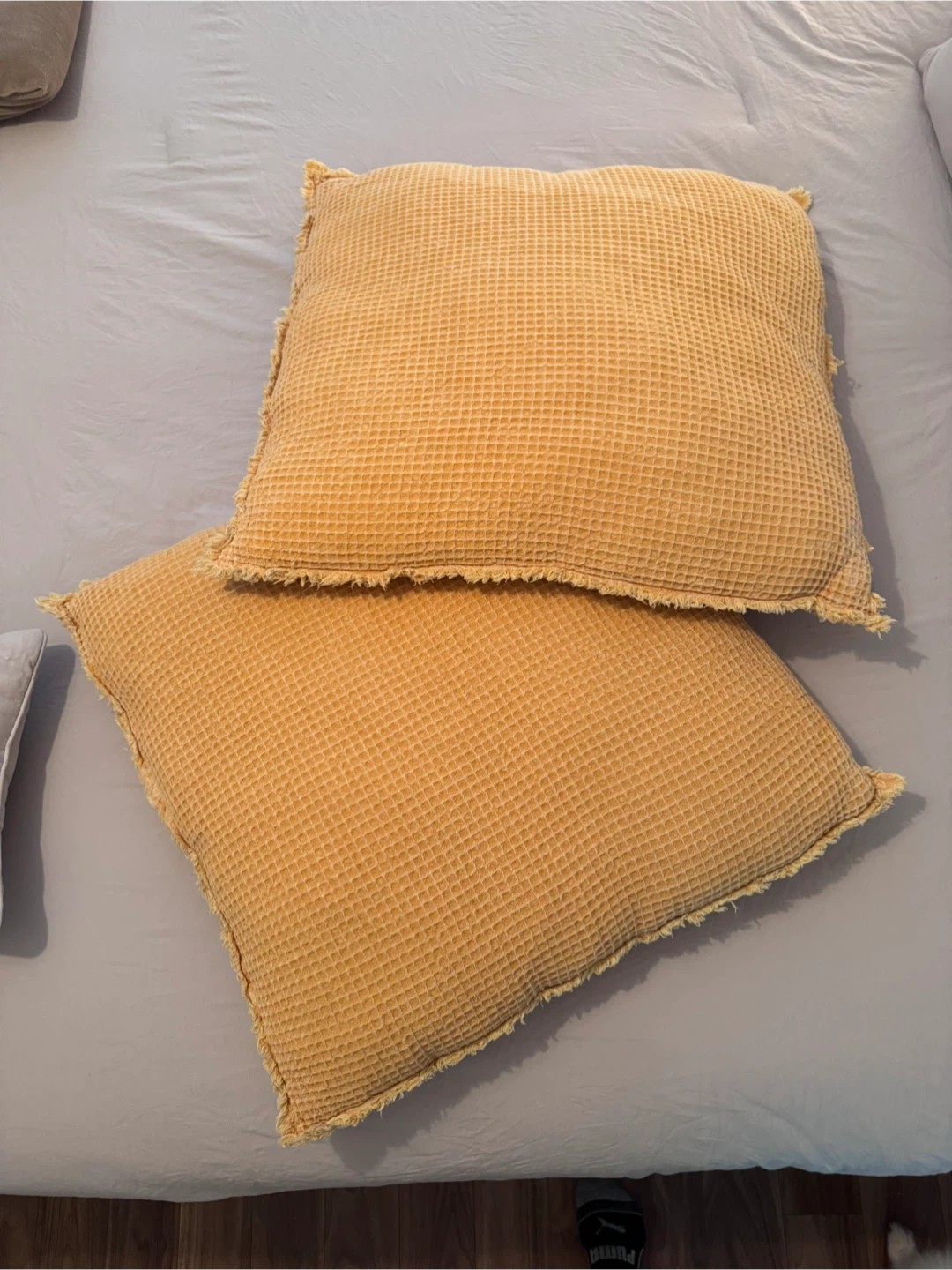 Artistic Accents Throw Pillows - Set of 2