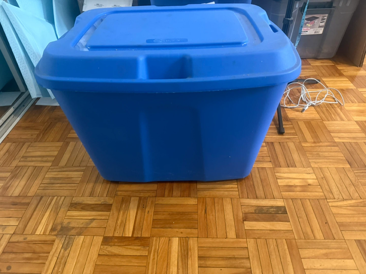 Sterilite Blue Storage Container with Lid