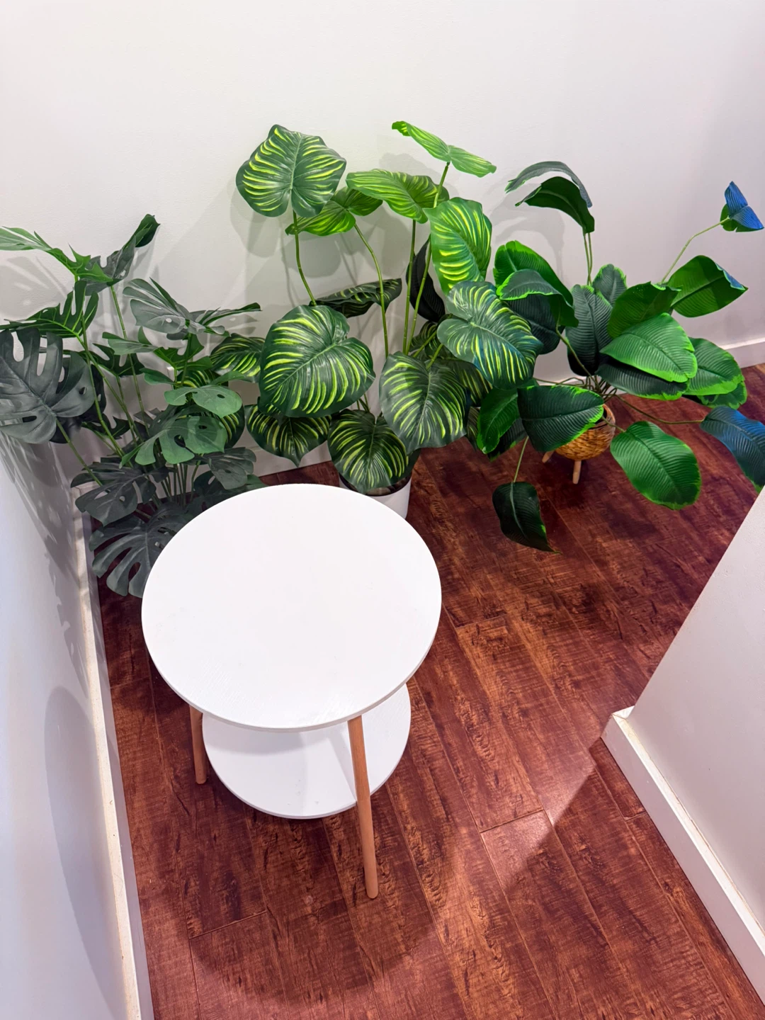 Free plants and White 2-Tier Side Table - photo 3