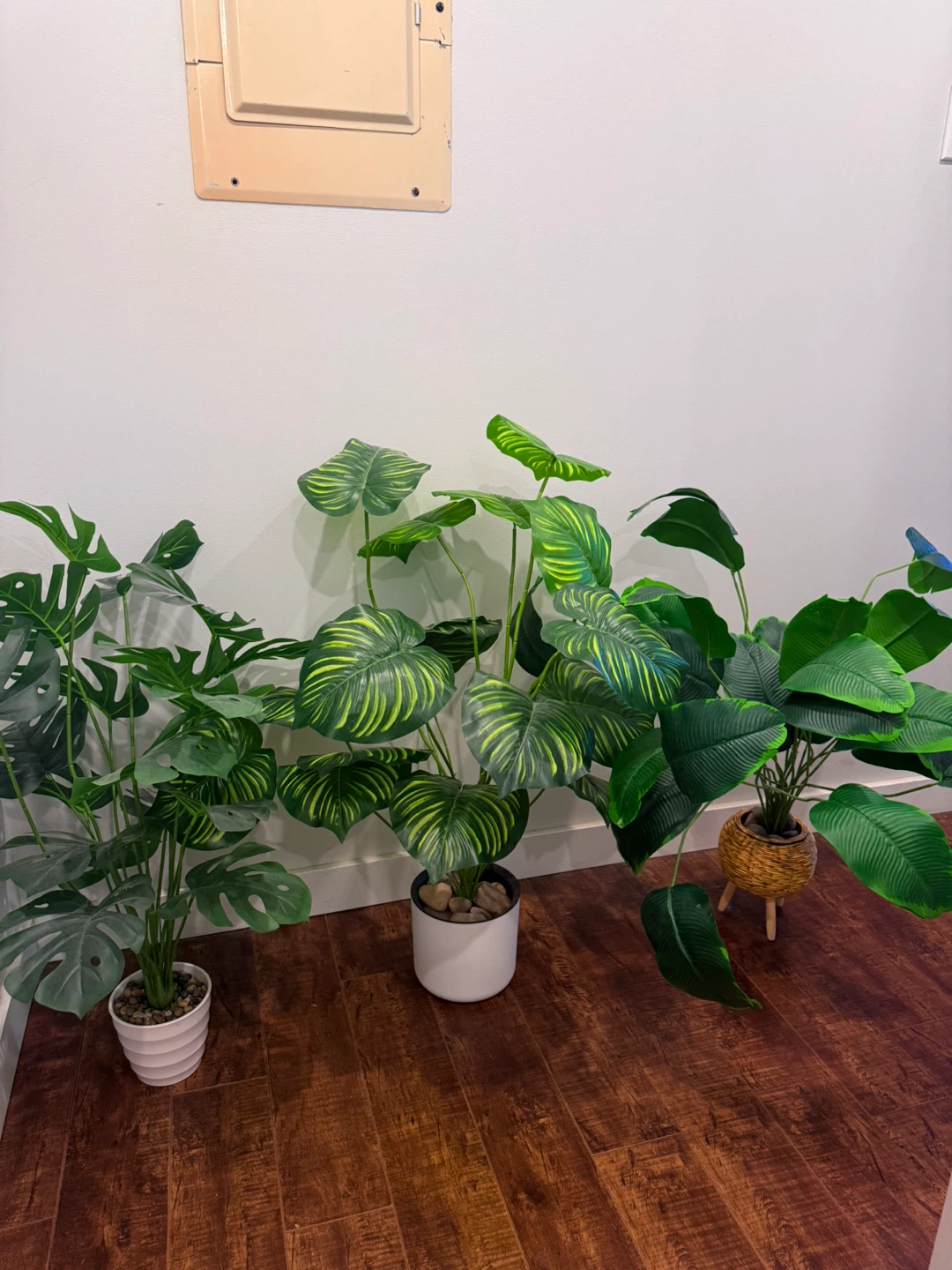 Free plants and White 2-Tier Side Table - photo 5