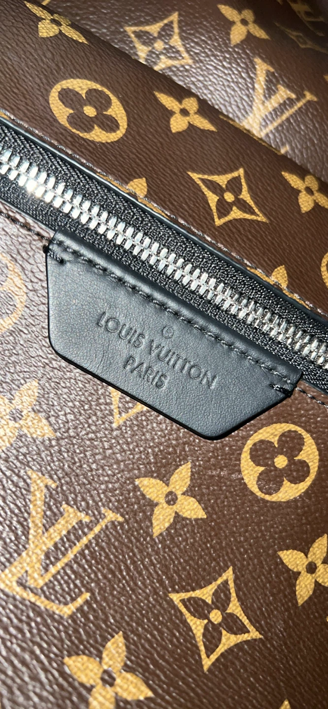 Louis Vuitton Backpack - photo 3