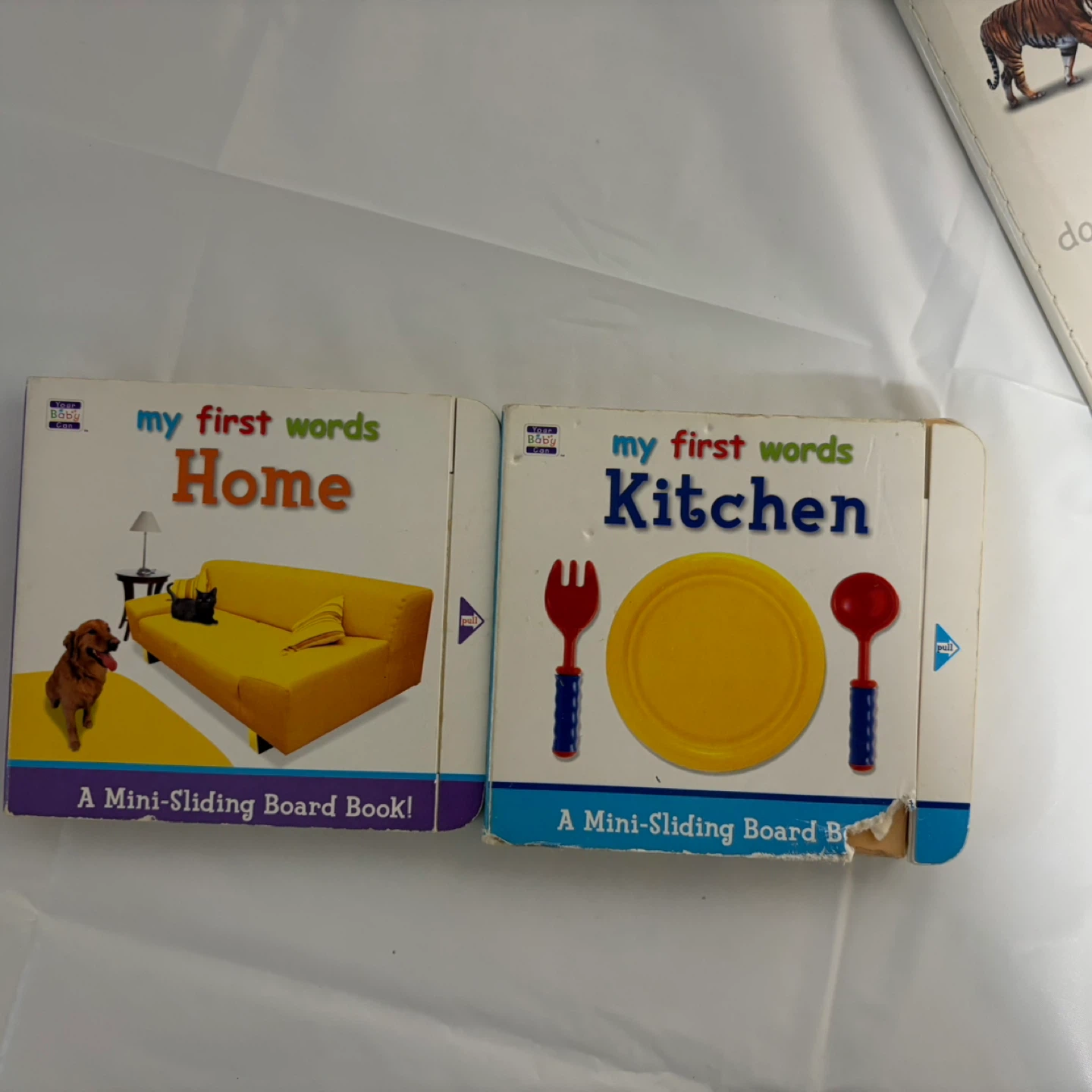 Your Baby Can Read! Early Language Development System - photo 2