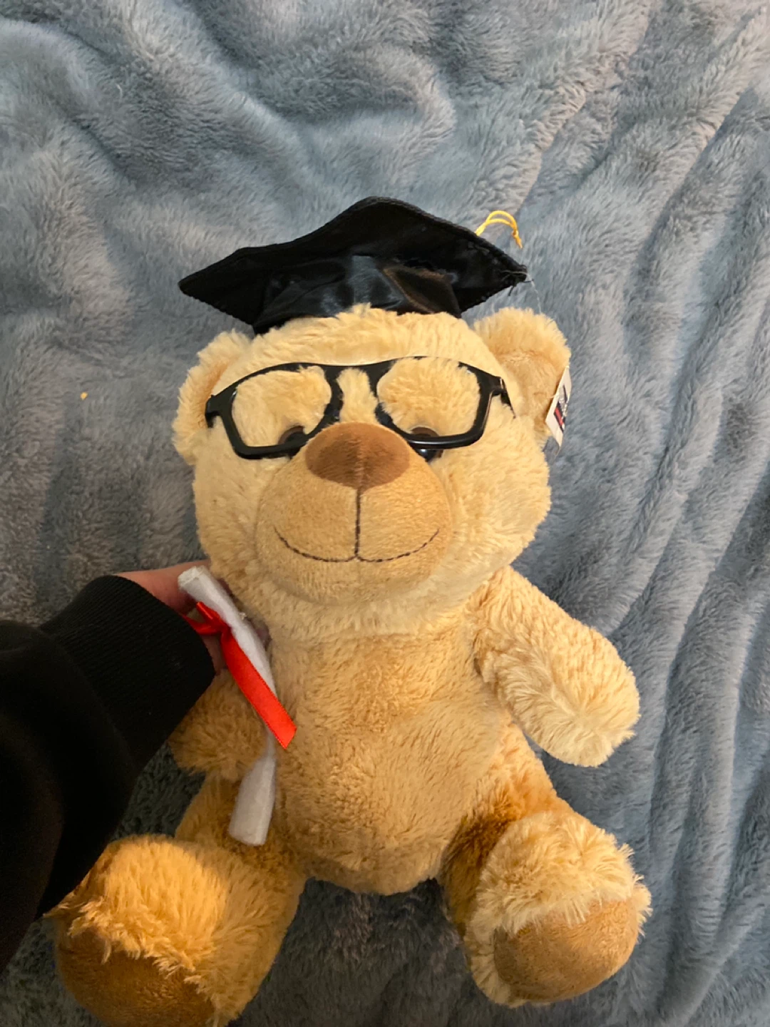 Graduation Teddy Bear