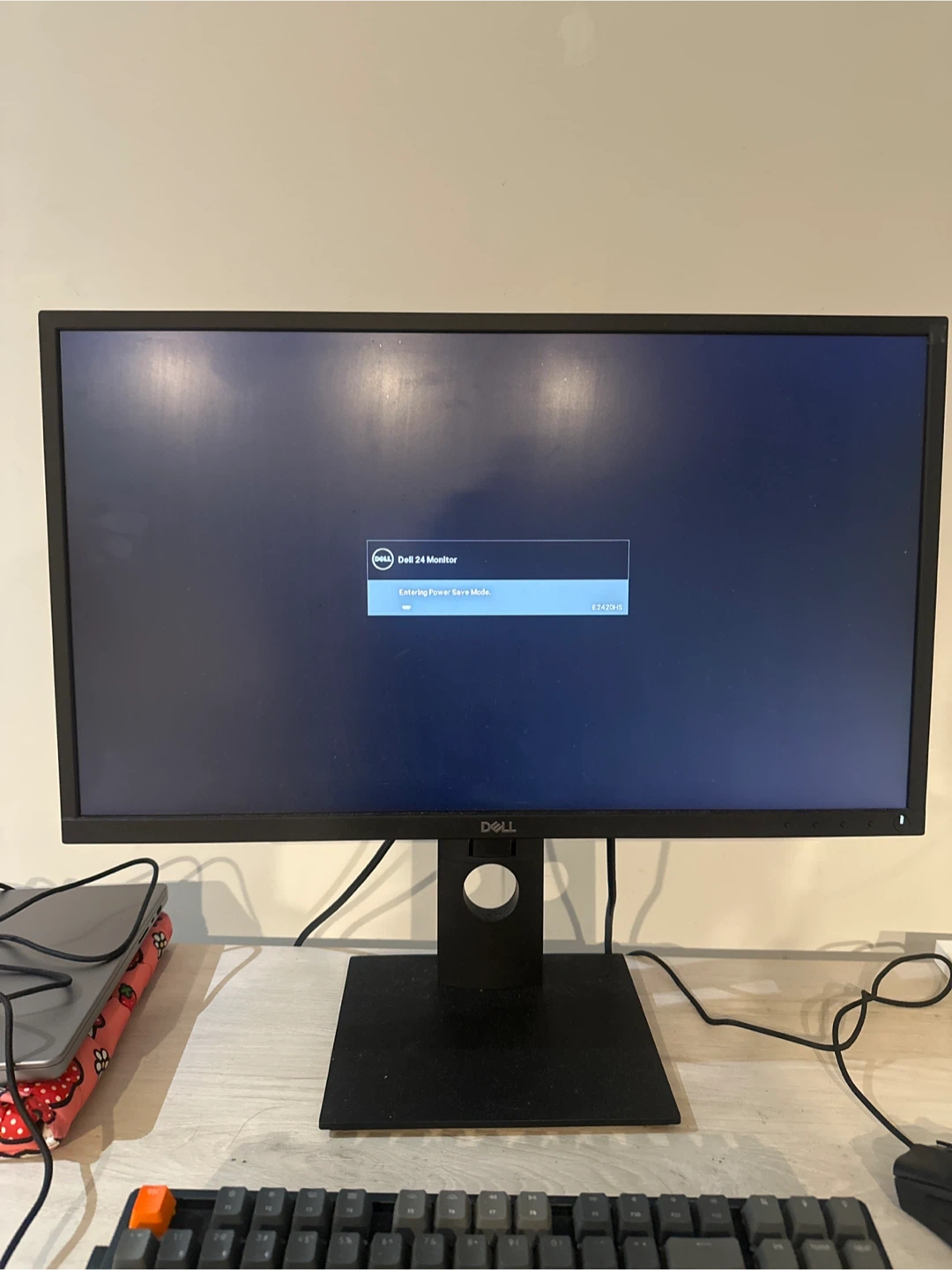 Dell 24 inch Monitor
