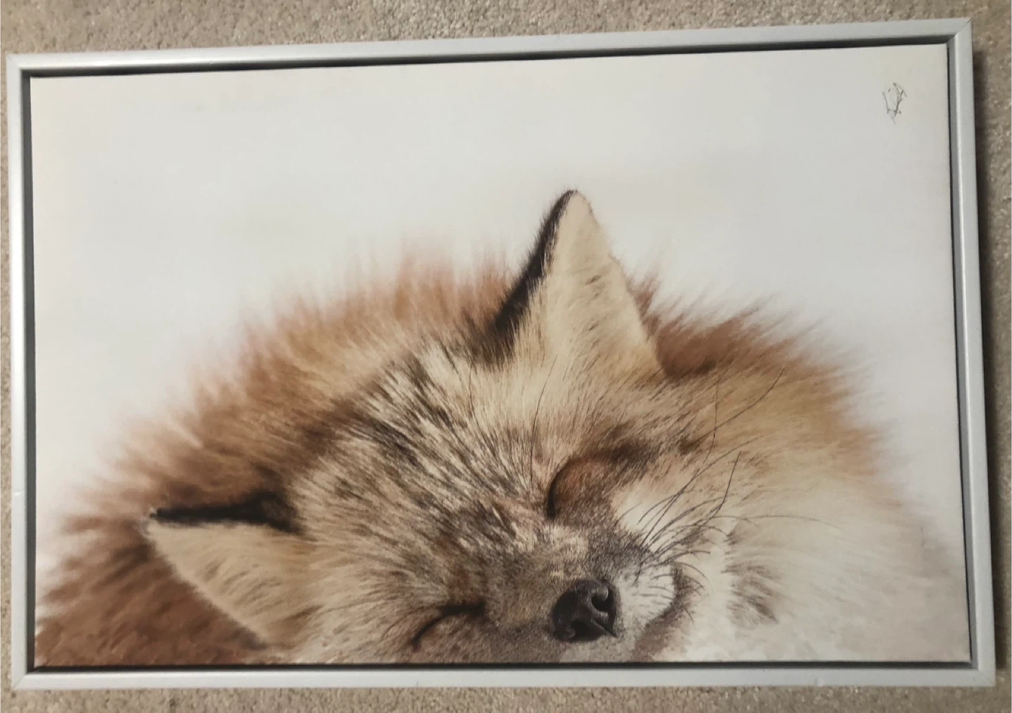 Framed Art - photo 2
