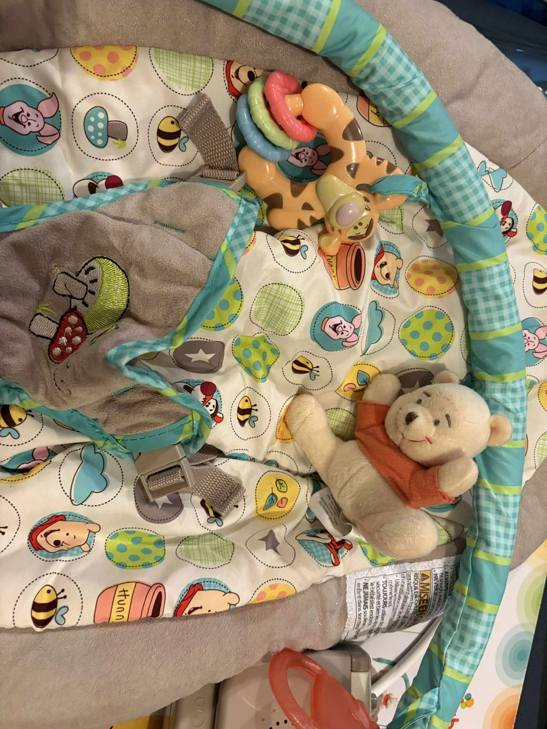 Disney Baby Winnie the Pooh Bouncer FREE IF PU THIS WEEKEND - photo 3