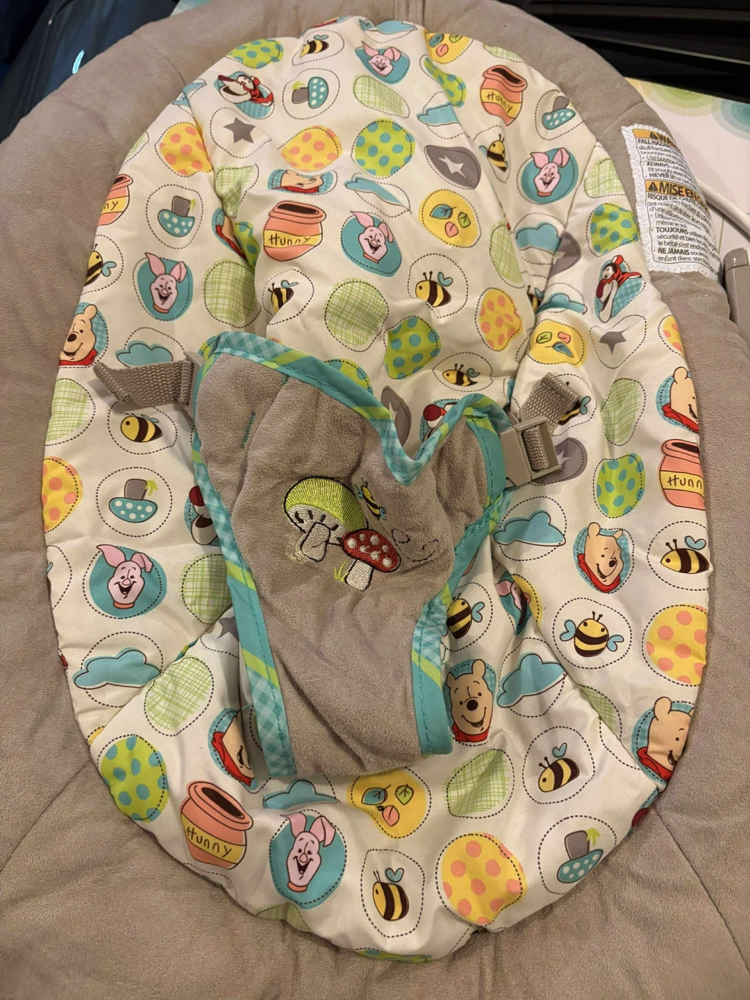 Disney Baby Winnie the Pooh Bouncer FREE IF PU THIS WEEKEND - photo 4