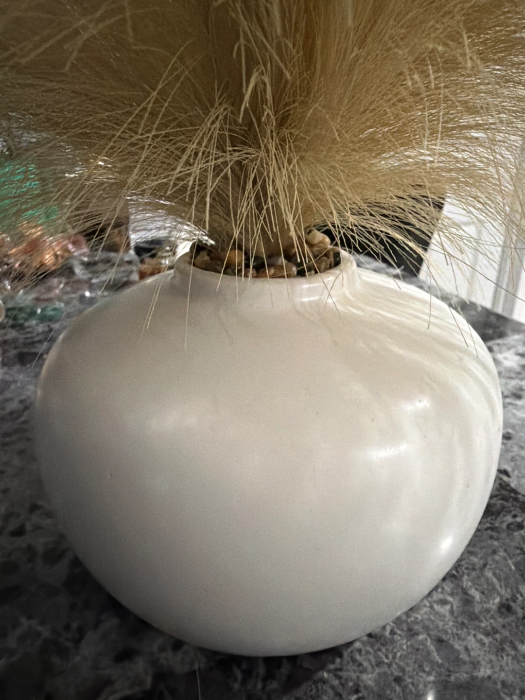 White Round Vase with Pampas Grass 🥕 - photo 3