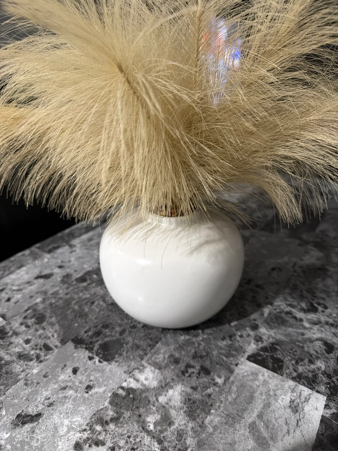 White Round Vase with Pampas Grass 🥕
