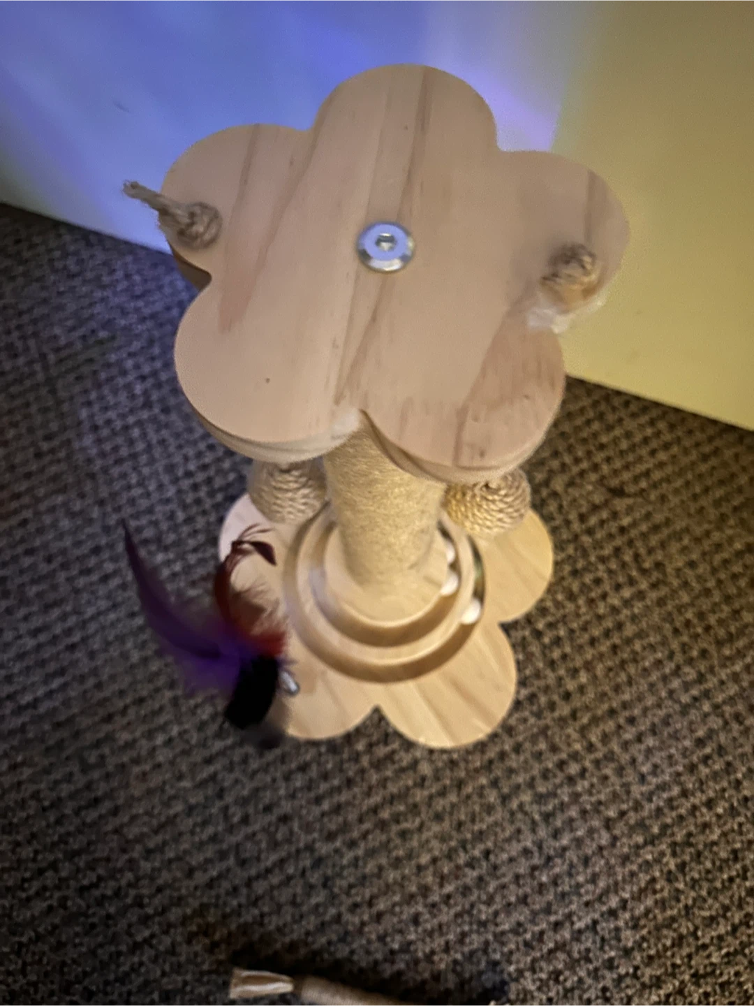 Cat Scratching post