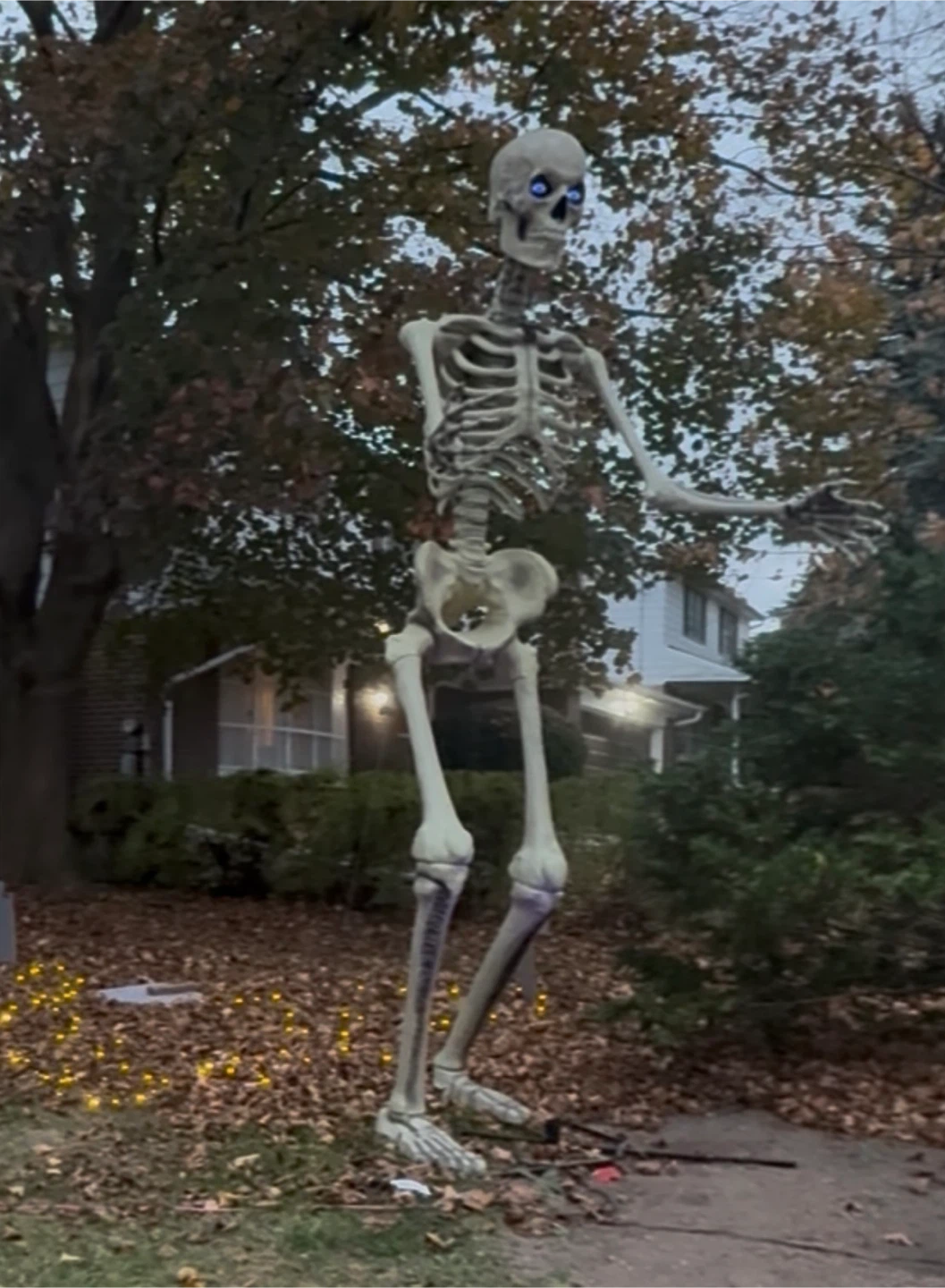 12 foot Home Depot Skeleton LED eyes