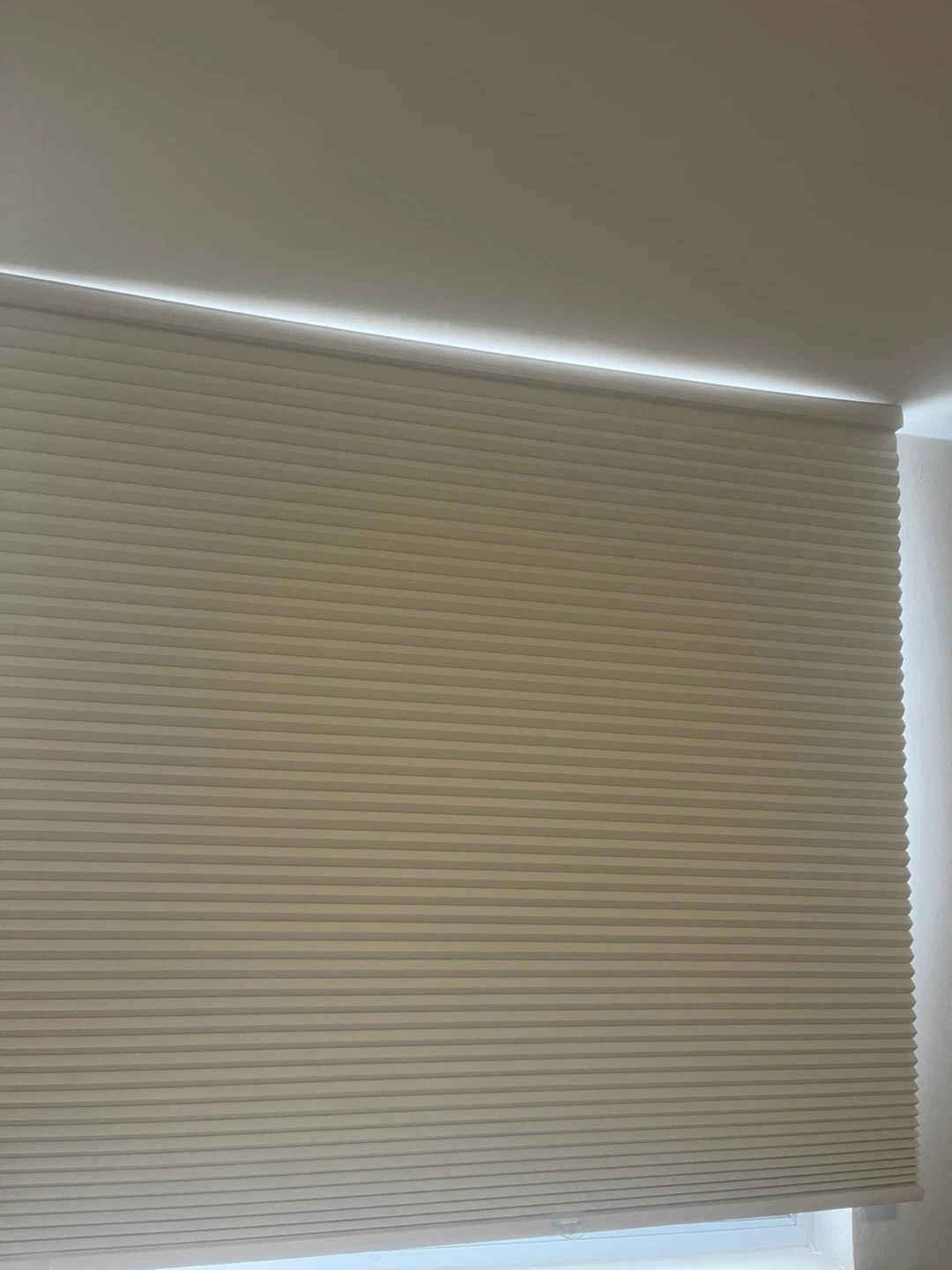 Cellular Window Shade (New In a box)