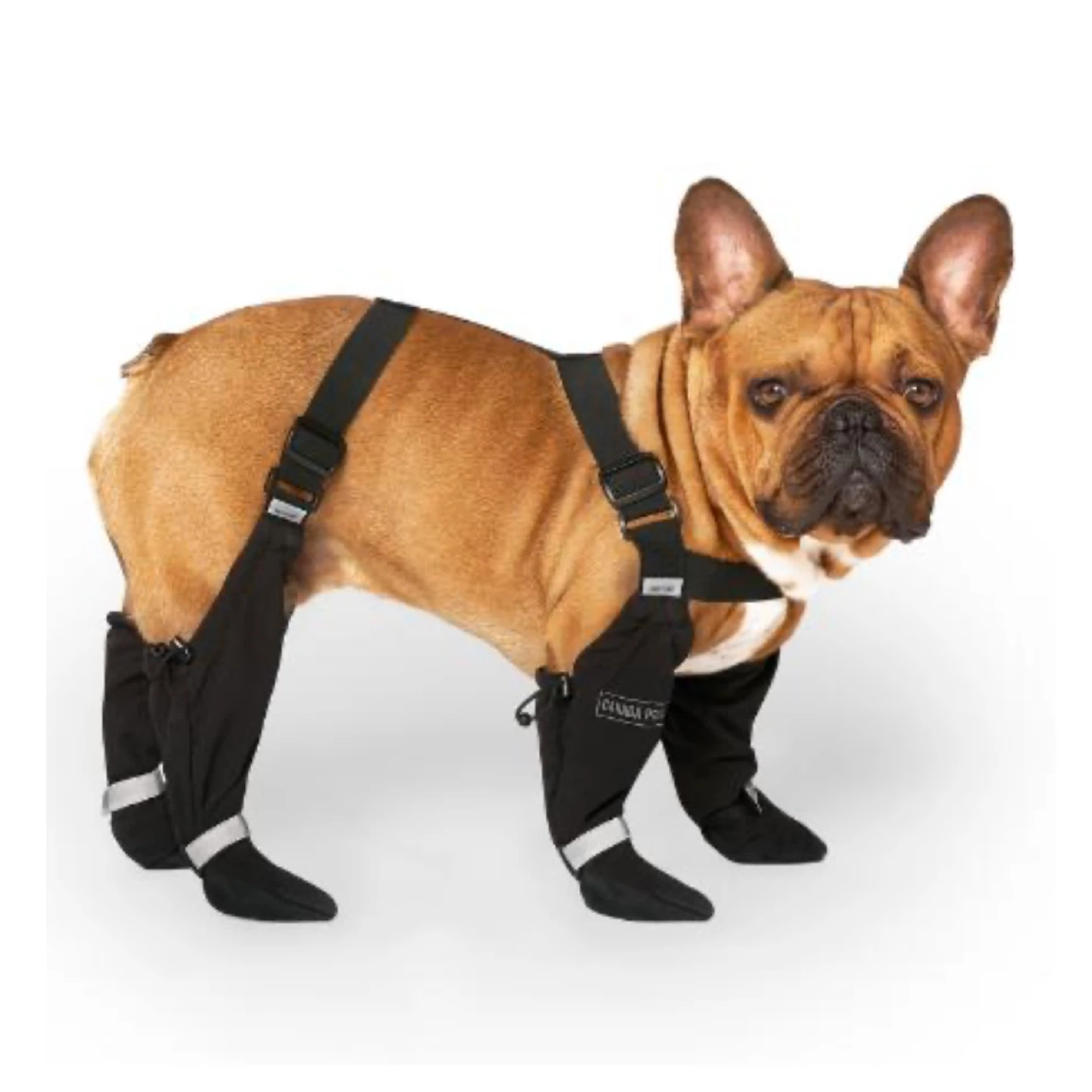 Canada Pooch Suspended Boots -Small Dog - Black - 2 Short