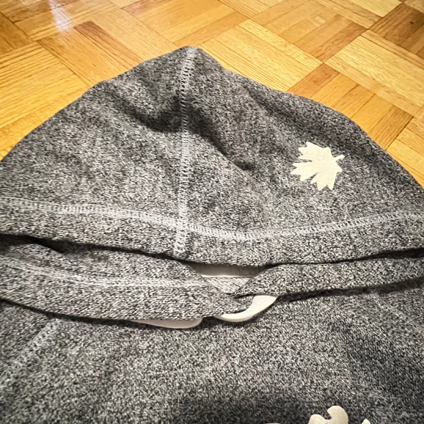 Roots Salt & Pepper Grey Hoodie - photo 5