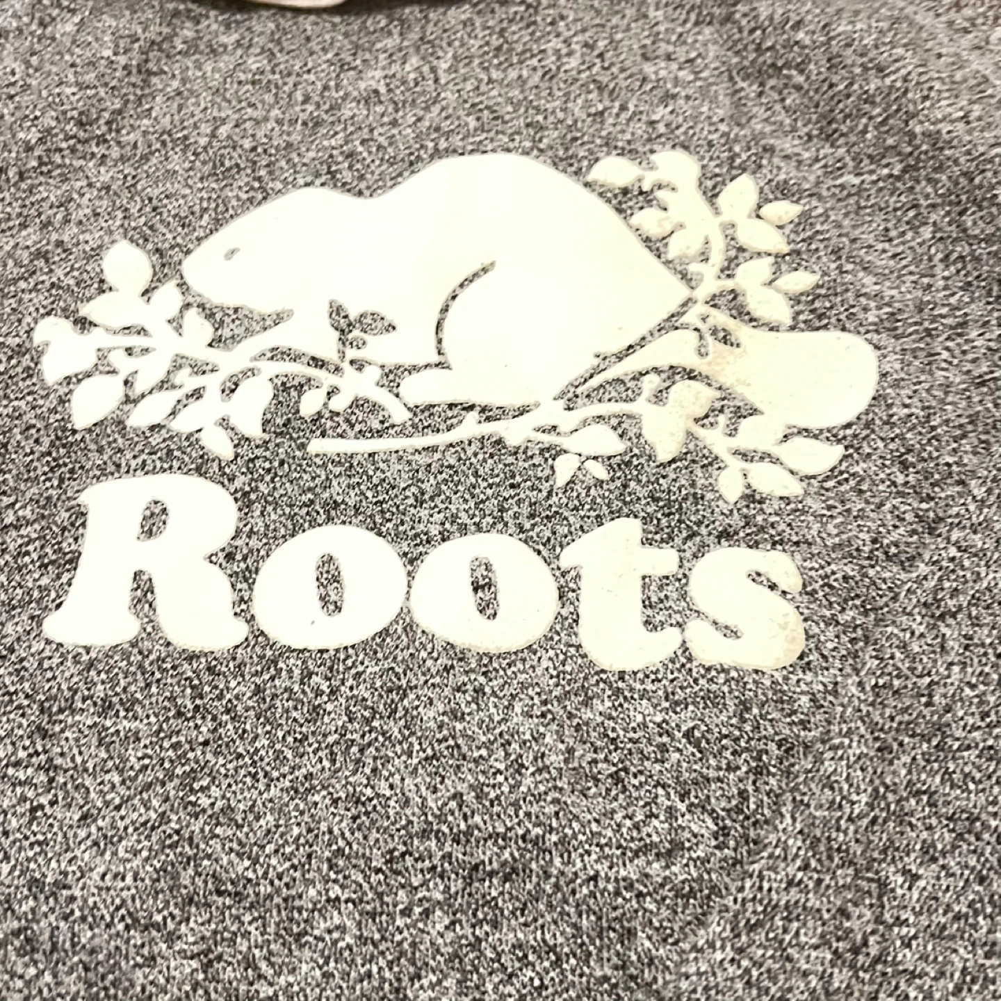Roots Salt & Pepper Grey Hoodie - photo 2