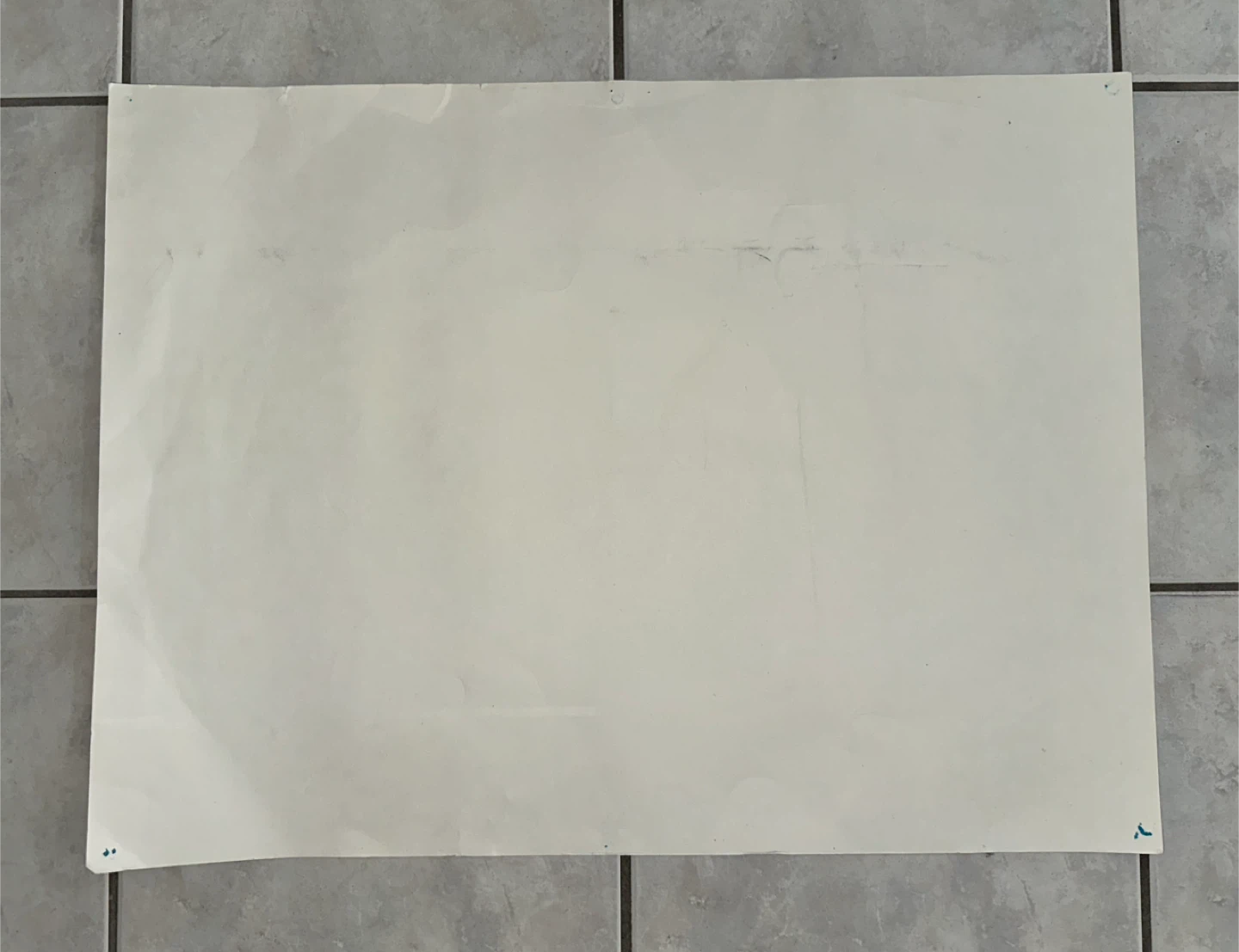 Coucou! Penguin Poster 🥕 - photo 2