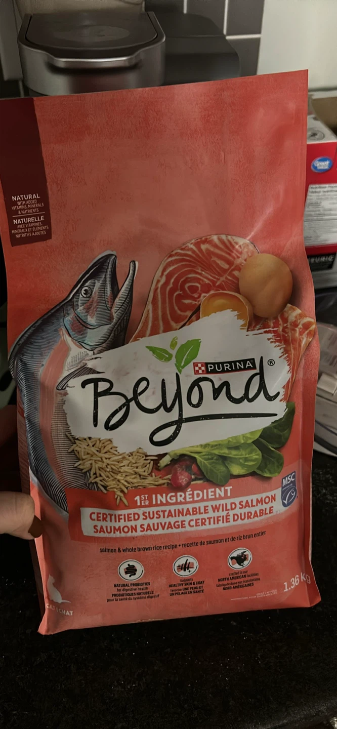 Purina Beyond Salmon & Brown Rice Cat Food - 1.36 kg