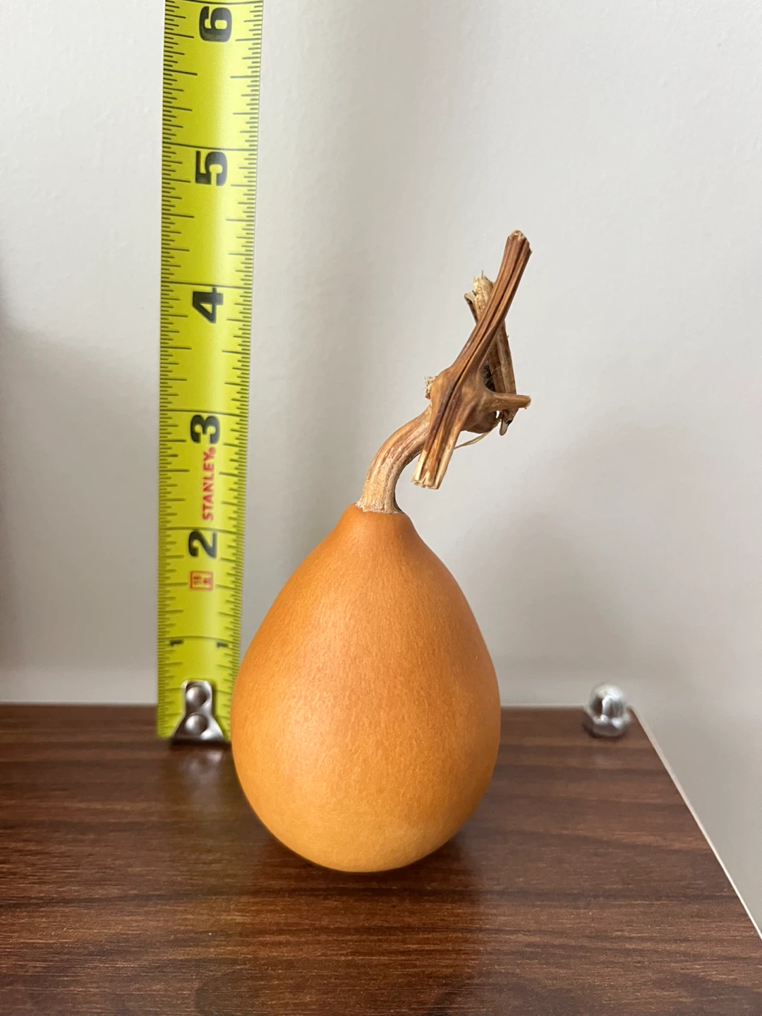 Decorative Dried Gourd