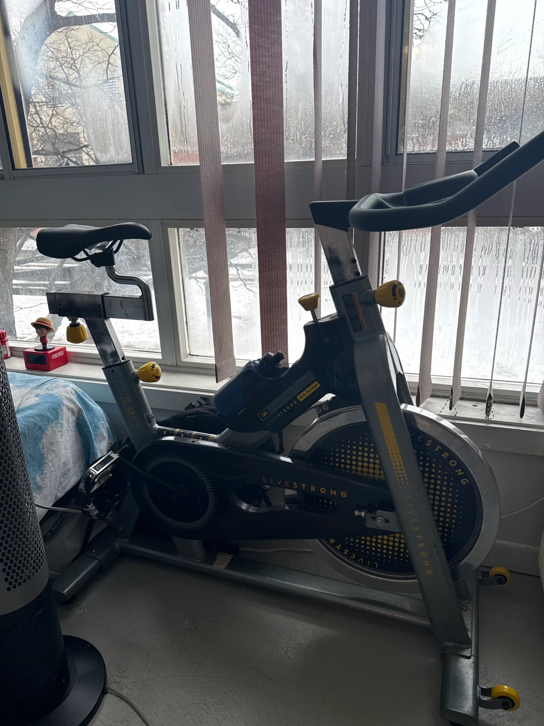 Livestrong LS9.9IC Exercise Bike - photo 2