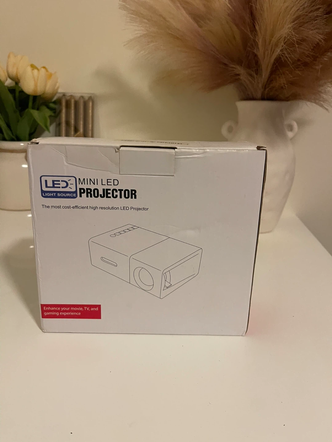 LEX Light Source Mini LED Projector - photo 2
