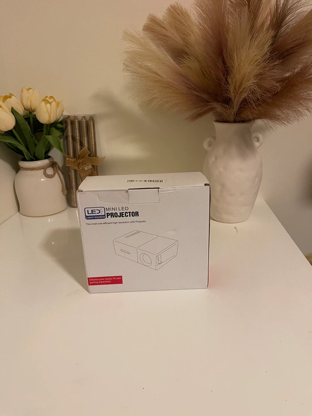 LEX Light Source Mini LED Projector - photo 3