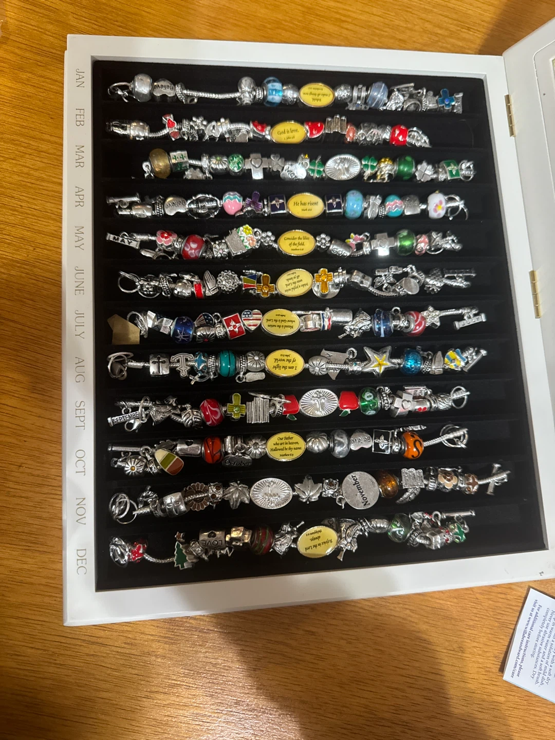 Chamilia Charm Bracelet Collection 🥕