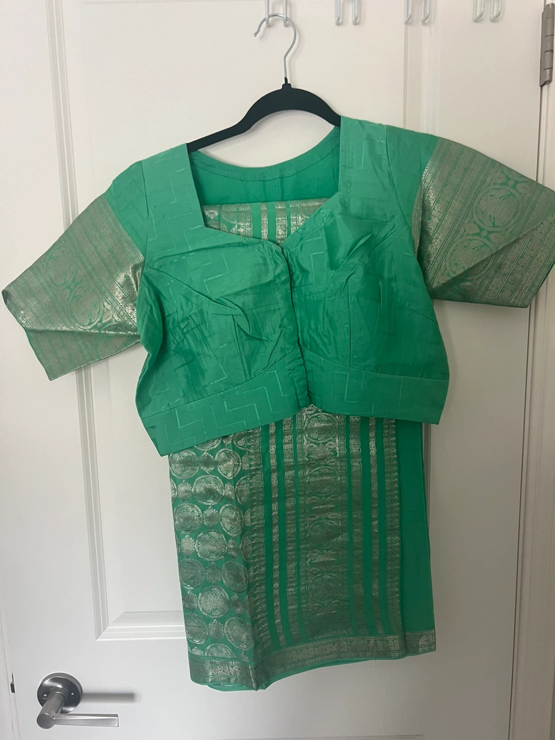 Green Sari with Blouse